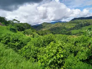 Zona Arqueológica de Toniná