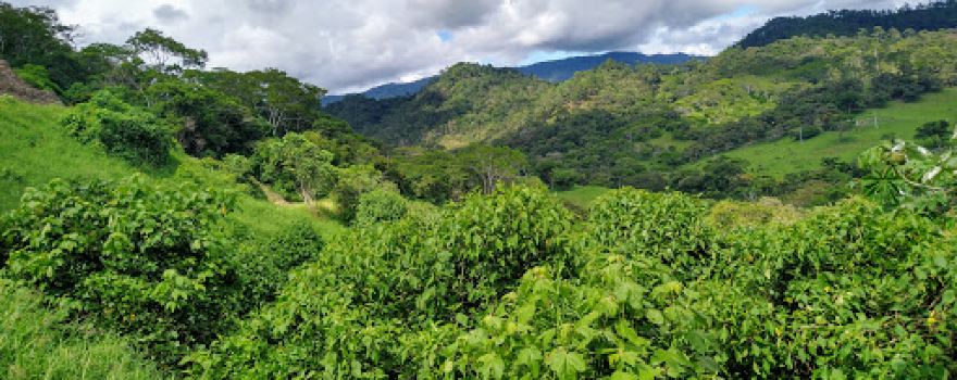 Zona Arqueológica de Toniná