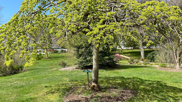 Armstrong-Kelley Park