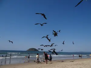 Playa Rincón de Guayabitos