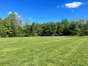 Annie's Playground
