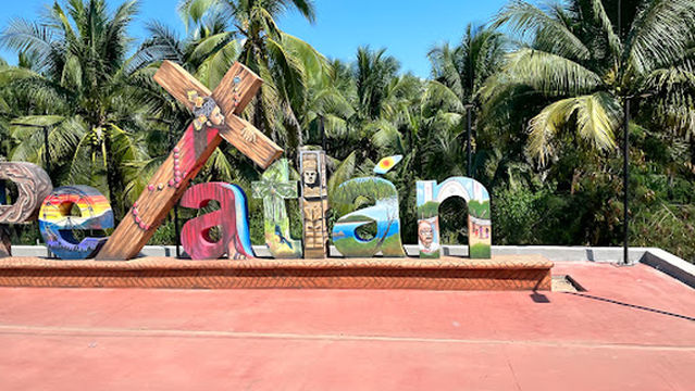 Ixtapa Baby Turtle Release in Ixtapa Zihuatanejo