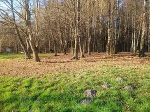 Plaża Miejska i Amfiteatr