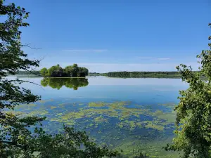 Rice Lake State Park