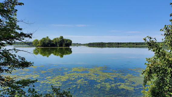 Rice Lake State Park