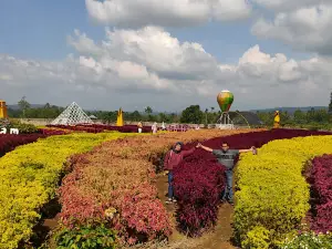 Oziel Amazing Garden