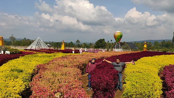 Oziel Amazing Garden