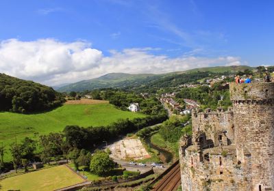Conwy Castle
