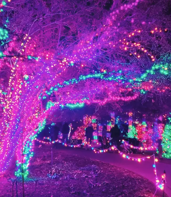 Легия