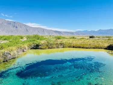 Cuatro Cienegas