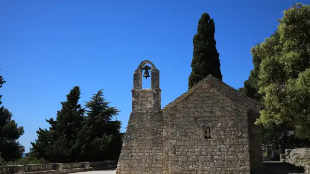 Forest Park Marjan