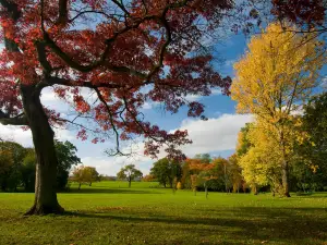 Stoke Park