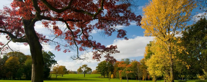 Stoke Park