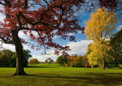 Stoke Park