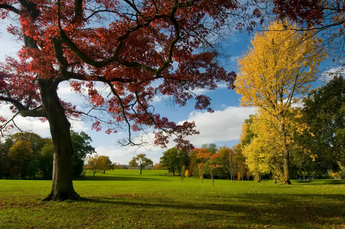 Hotels near Stoke Park