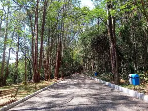 Natural Park Chico Mendes