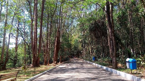 Natural Park Chico Mendes
