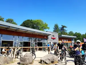 BikePark Wales