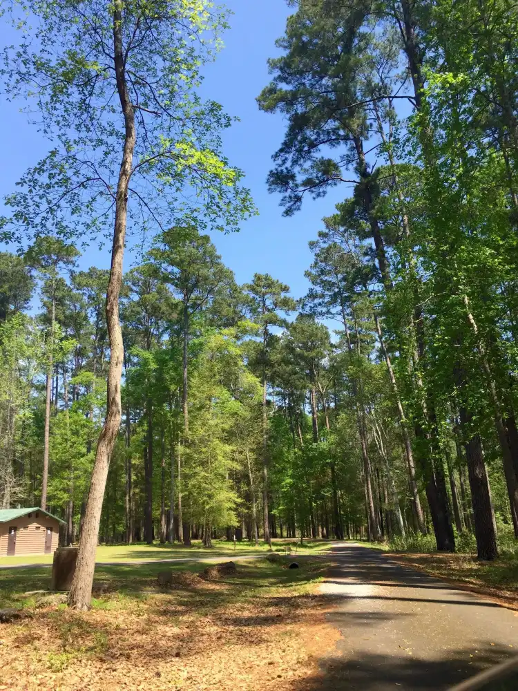 Hotels in Houston County