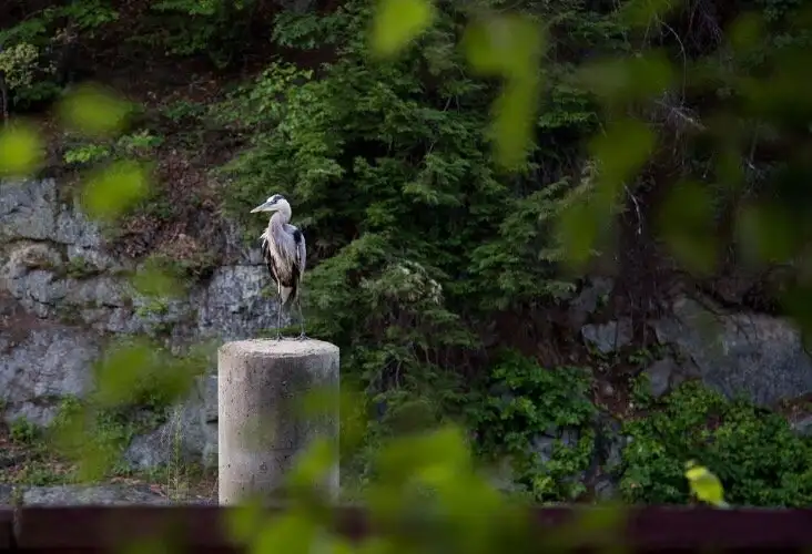 2_Mine Falls Park