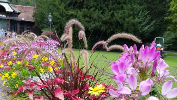Interlochen State Park