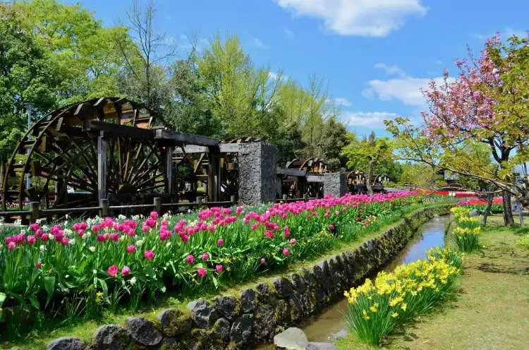 APA Hotels in Tonami