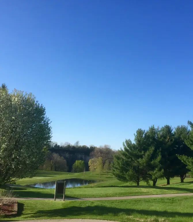Pleasant Grove Township