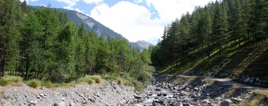 Parco Naturale Val Troncea