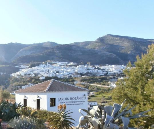 Botanical Garden of Cacti and Succulent Plants 'Mora i Bravard' of  Casarabonela Tickets [2026] - Promos, Prices, Reviews & Opening Hours |  Trip.com
