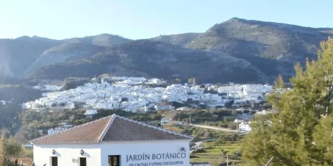 Botanical Garden of Cacti and Succulent Plants 'Mora i Bravard' of Casarabonela