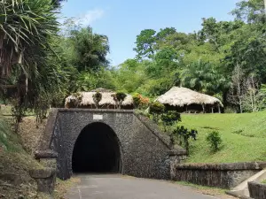 The Knolly’s Tunnel
