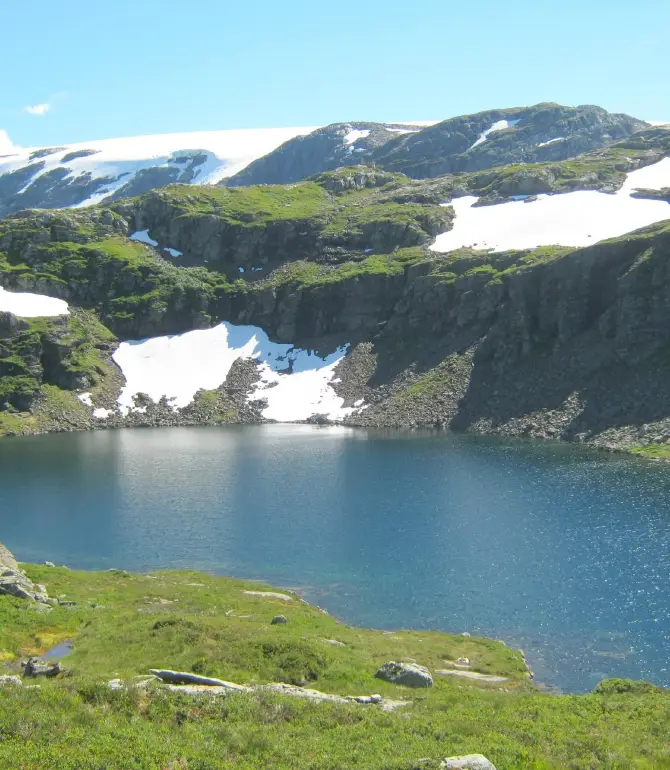 Rosendal