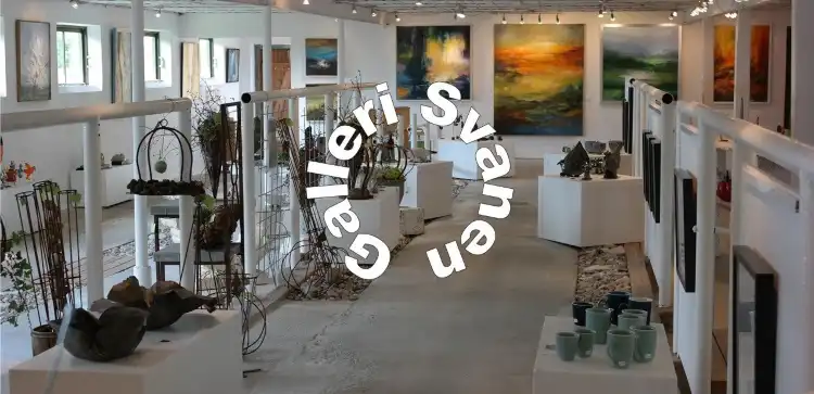Vig