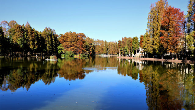 Saitama Municipal Bessho-numa Park