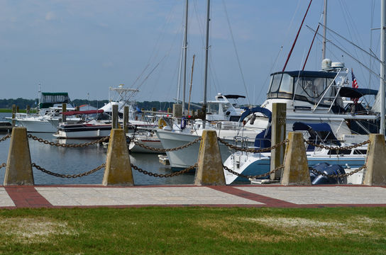 Henry C. Chambers Waterfront Park