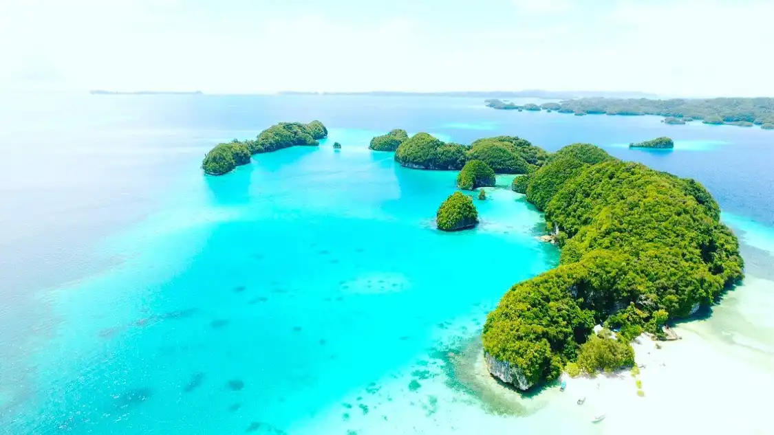 Hotels near Oasis Palau
