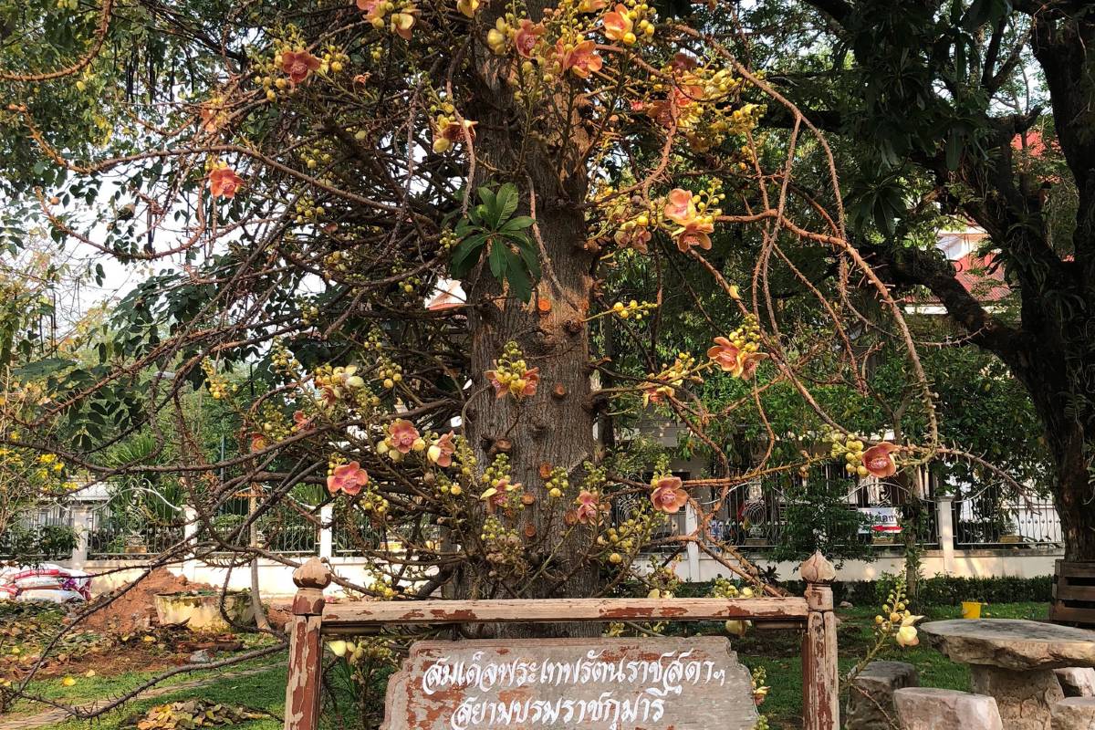 พระธาตุขามแก่น