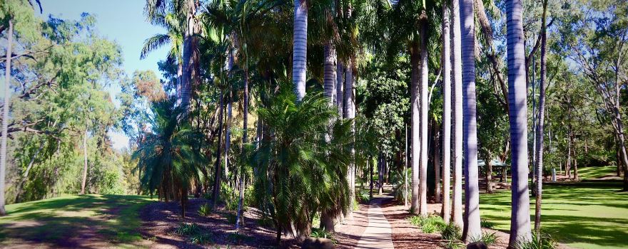 Emerald Botanic Gardens