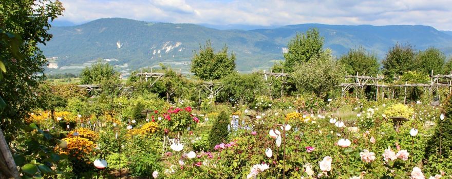 Giardino della Rosa