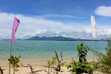 Daet
