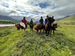 Tvistur Horse Rental