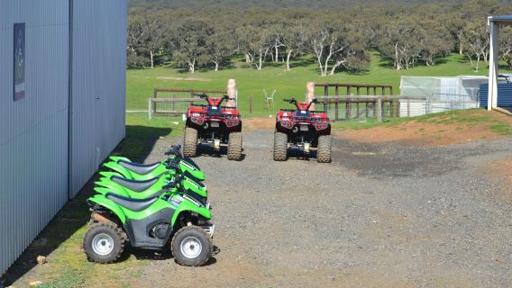 Waitpinga Farm Quad Bike Adventures
