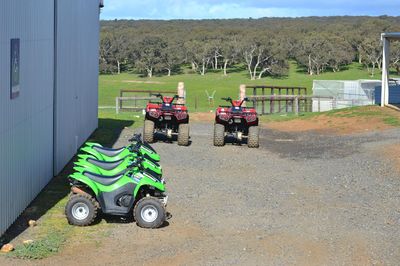 Waitpinga Farm Quad Bike Adventures