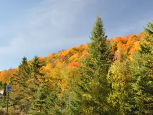 Parc des Montagnards, Stationnement P1