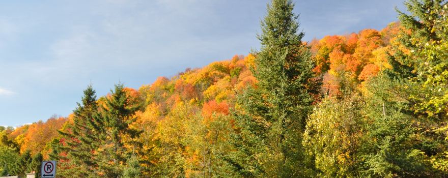 Parc des Montagnards, Stationnement P1