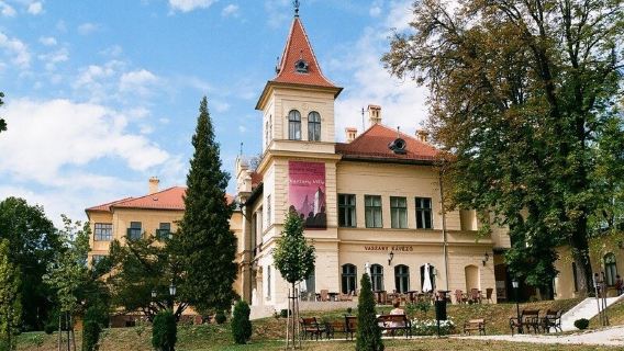 Vaszary Gallery
