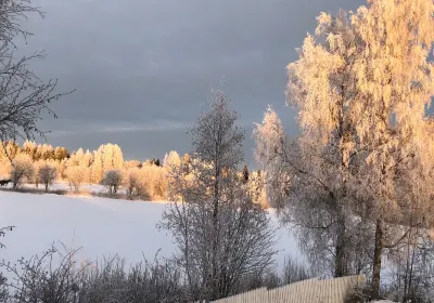 Karstula