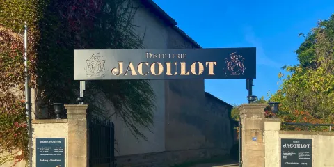 Jacoulot