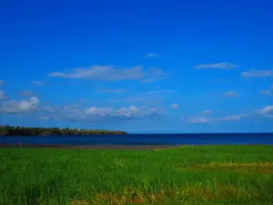Northern Bay Sands
