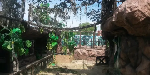 Crocodile Farm